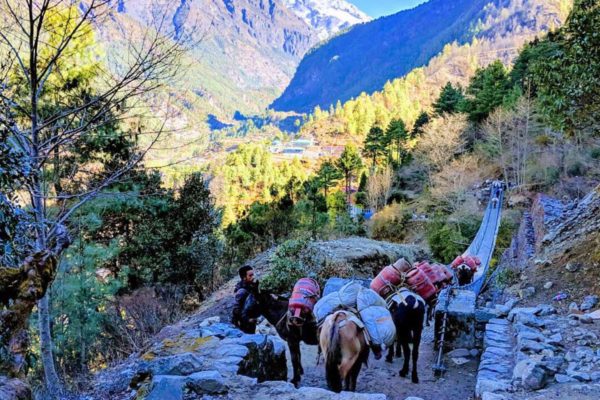 Ghorepani Pool Hill Trek 7