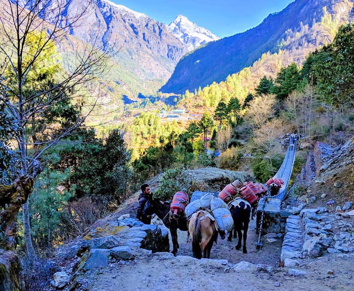 ghorepani trek